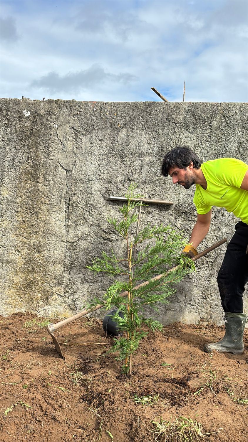 Gonçalo a plantar uma árvore na Casa Essência